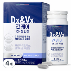 디엑스앤브이엑스 덱스벡스 간케어, 4개, 30정