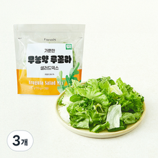 팜에이트 무농약 인증 가뿐한 루꼴라 샐러드믹스 3개입, 210g, 3개