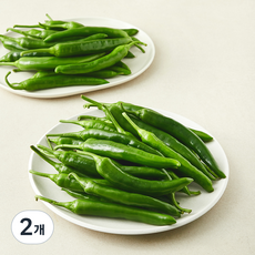 못생겨도 맛있는 오이맛고추, 5kg, 2개