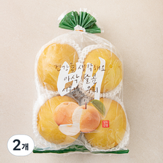 원농산 원황배, 2개, 2kg(3~4입)