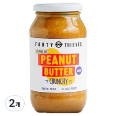 포티시프 피넛버터 크런치, 500g, 2개