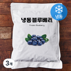 미국산 이안 블루베리 (냉동), 1kg, 3개