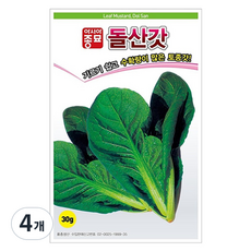 아시아종묘 돌산갓 씨앗 30g, 4개