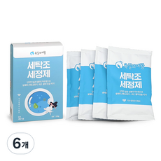 욕실의여왕 세탁조 클리너 4p, 400g, 6개