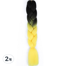 알로데 그라데이션 브래이드 헤어 부분가발 60cm, TYPE 11, 2개