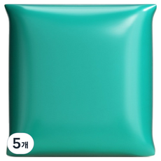 데일리온 부드러운 찰흙 100g, 민트, 5개