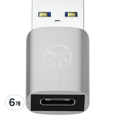 디지지 USB C타입 to A 변환젠더 D20-0017, 32mm, 메탈실버, 6개