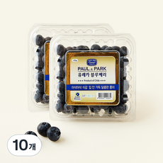 에스피프레시 칠레산 점보 유레카 블루베리, 10개, 125g