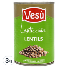 베수 렌틸, 3개, 400g