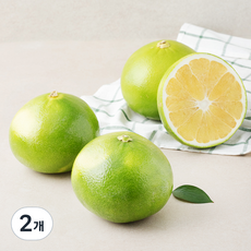 메로골드 자몽, 2개, 1.6kg