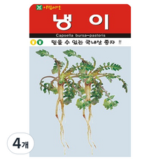아람종묘 냉이 씨앗 2만립, 4개