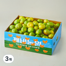 깨비농원 감귤, 3개, 5kg(소과)