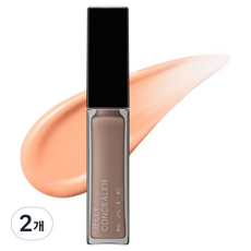 케이트 젤리 글로스 래스팅 컨실러 6g, 오렌지, 2개