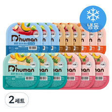 듀먼 전연령 강아지 5종 오리지널 자연 화식사료 50g x 15개입 (냉동), 오리+연어+소고기+명태+돼지+채소, 2세트