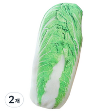 ARTJOY 擬真印刷鉛筆盒, 大白菜, 2個