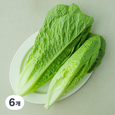 샐러팜 하트 로메인, 300g, 6개