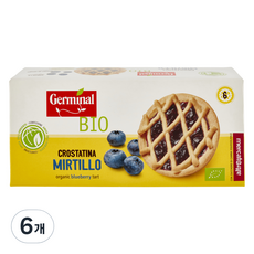 Germinal 유기농 블루베리 타르트, 270g, 6개