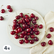 더네이처 캐나다산 체리, 500g, 4개