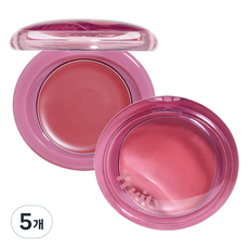 에뛰드 프루티 립앤치크 블러밤, 5개, 04 덜 익은 자두