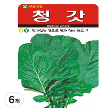 아람종묘 청갓 씨앗 2000p, 6개