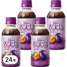 팔도 마시는 오늘푸룬, 190ml, 24개
