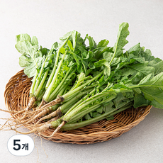 국내산 열무, 500g, 5개