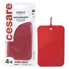 Mr&Mrs FRAGRANCE Cesare 卡片型多功能車用芳香劑, 4個, 薄荷