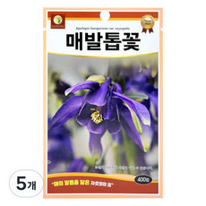 다농 매발톱꽃 씨앗 400p, 5개
