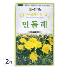다농 민들레 씨앗 500p, 2개