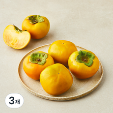 북창원농협 줄단감, 3개, 1.1kg(대과, 5입)
