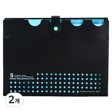 홈셀 깔끔핏 서류정리 아코디언 파일 5칸 32.5 x 24.5 cm, 블루블랙, 2개