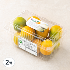 GAP 인증 우영밭 자연 그대로 감귤, 800g(2S~M), 2팩