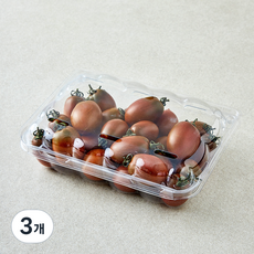 곰곰 흑 대추방울토마토, 3개, 500g