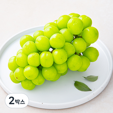 산지직송 아주마 비파괴 당도 선별 영동 상주산 샤인머스켓, 600g, 2박스