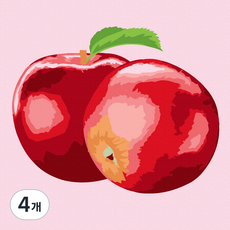 플레이어바웃 명화 그리기 DIY 세트 꿀사과 피포페인팅 20 x 20 cm, 혼합색상, 4개
