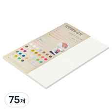 종이문화 다빈치엠보 두꺼운 양면엠보싱지 No 01 화이트 180g, 75개