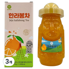 제주앤팜 한라봉차, 3개, 1개입, 570g
