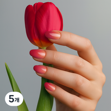 젤리팝 디자인 셀프 네일 아트 그라데이션 네일스티커 TS, 5개, 10 러브튤립