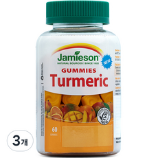 자미에슨 강황 구미 60p, 3개, 180g