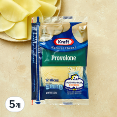크래프트 슬라이스 프로볼로네 치즈 12매입, 227g, 5개