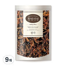 한방선생 팔각, 100g, 9개