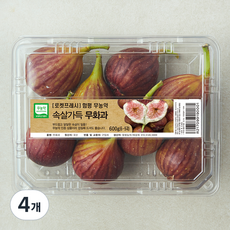 무농약 인증 함평 속살가득 무화과, 600g, 4개