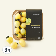 비채 화이트톡, 3개, 500g