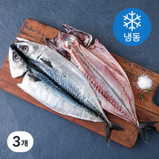 제주어부 자반고등어 2미 (냉동), 3개, 500g