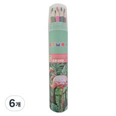 아트모아 전문가용 색연필, 12색, 6개