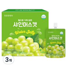 천호엔케어 젤리로 가득 담은 샤인머스캣, 100g, 30개