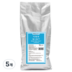 바스참 사해소금 민트 입욕제 리필, 1kg, 5개