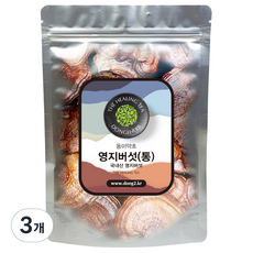 동이약초 중국산 영지버섯 통, 150g, 3개