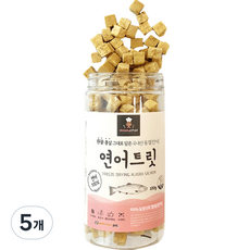 도기쉐프 반려동물 동결건조 트릿 간식, 연어, 100g, 5개
