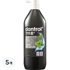 댄트롤 딥 클린 박하 솔트 샴푸, 820ml, 5개